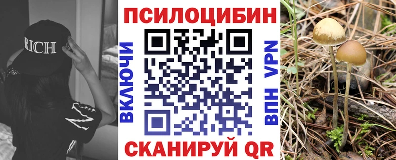 Псилоцибиновые грибы Magic Shrooms  ссылка на мегу зеркало  Подпорожье  купить закладку 